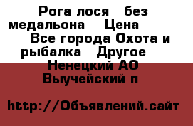 Рога лося , без медальона. › Цена ­ 15 000 - Все города Охота и рыбалка » Другое   . Ненецкий АО,Выучейский п.